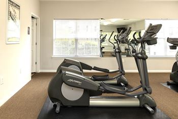 A room with a treadmill and a mirror.